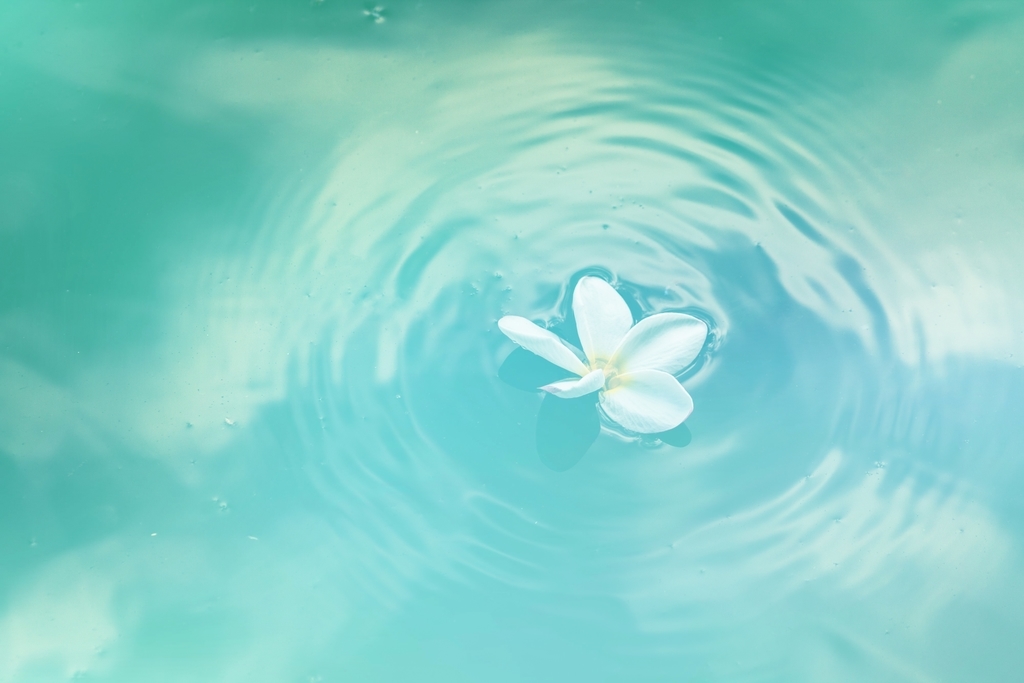f:id:happylifeis:20180912120917j:plain