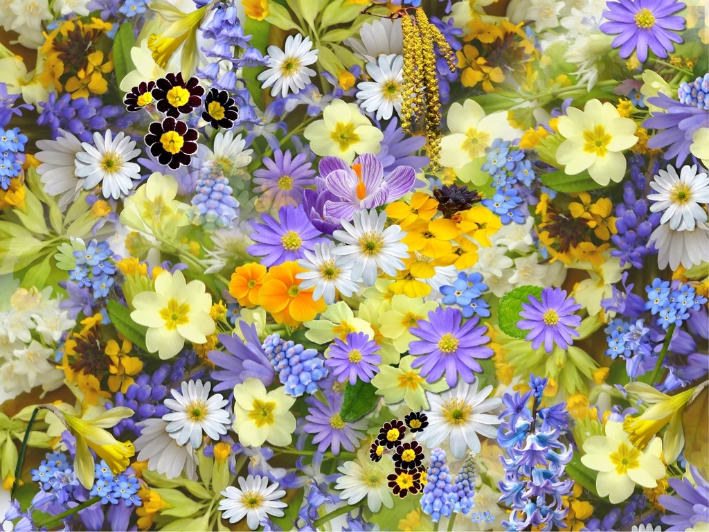 f:id:happylifeis:20181129122602j:plain f:id:happylifeis:20181129122602j:plain