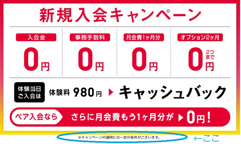 f:id:happylifeis:20181225111213j:plain