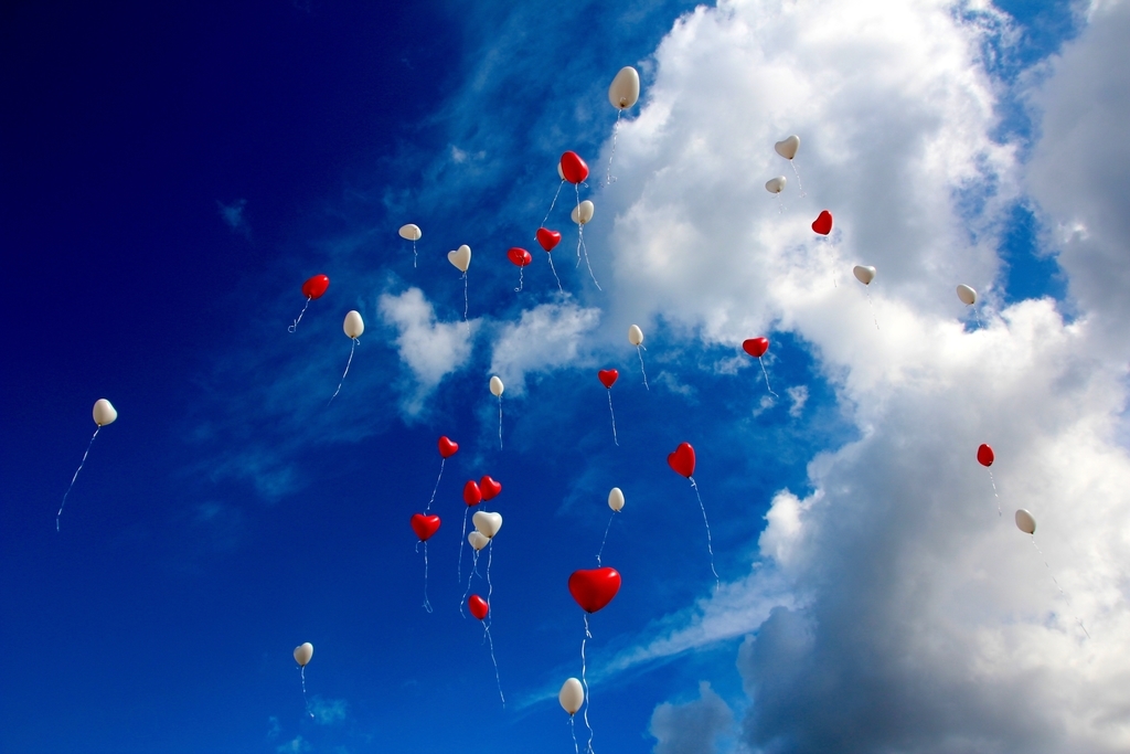 f:id:happylifeis:20190219103318j:plain f:id:happylifeis:20190219103318j:plain