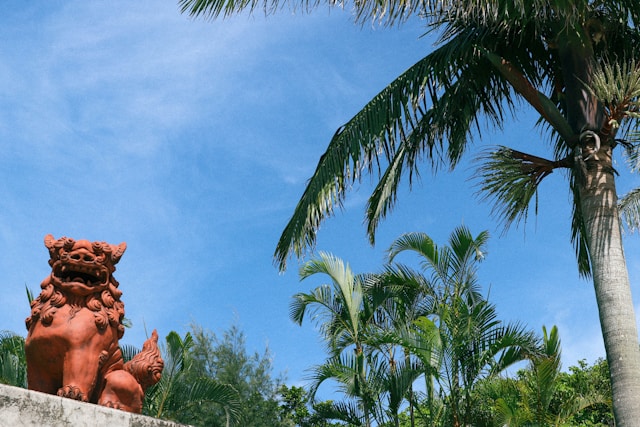 沖縄カチャーシー